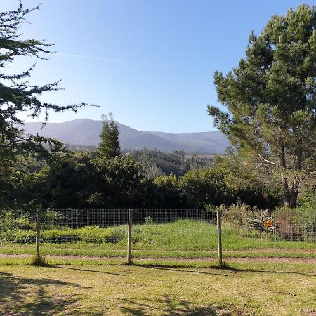 Elephant Country Guest House The Crags Esterno foto