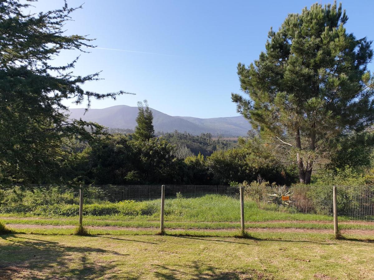 Elephant Country Guest House The Crags Esterno foto