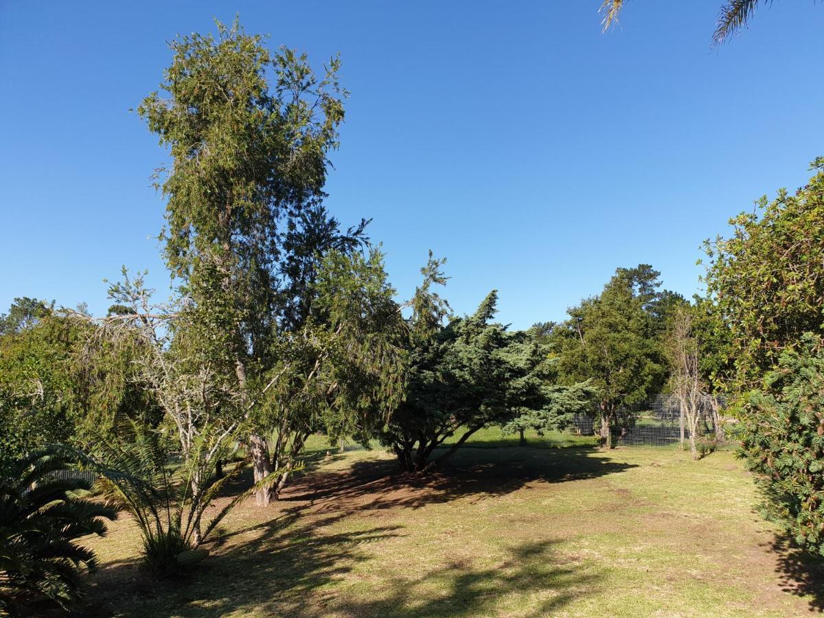 Elephant Country Guest House The Crags Esterno foto